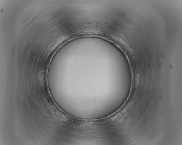 X0000088021162200705251044