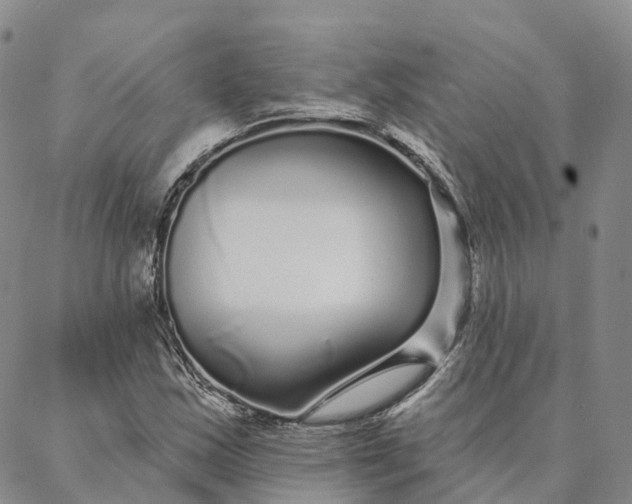 X0000088021163200705251044