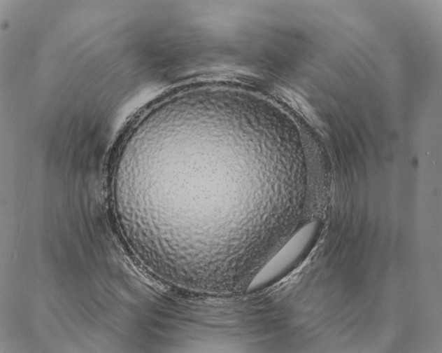 X0000088021164200705251044