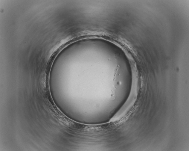 X0000088021165200705251044