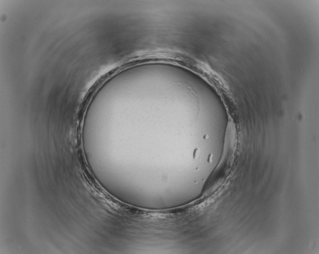 X0000088021166200705251044