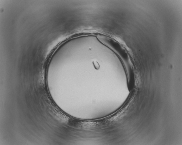 X0000088021167200705251044