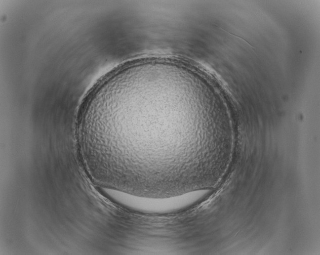 X0000088021168200705251044