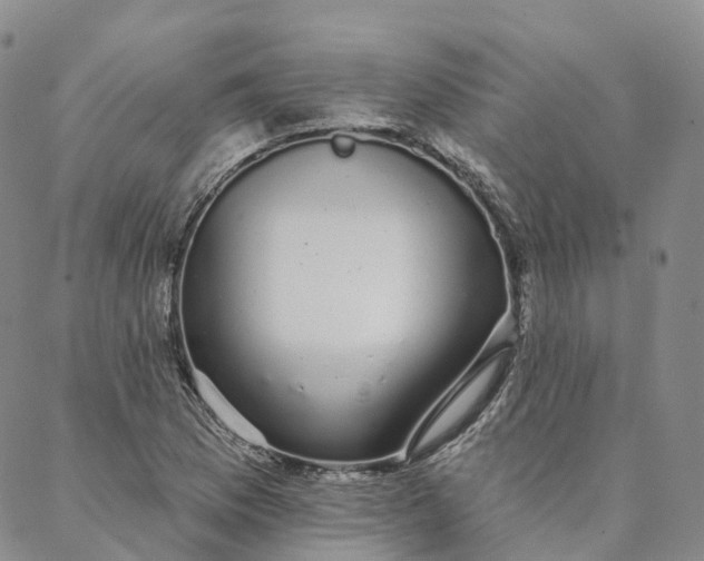 X0000088021169200705251044