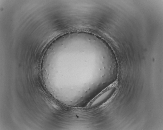 X0000088021170200705251044