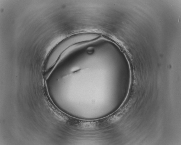 X0000088021171200705251044