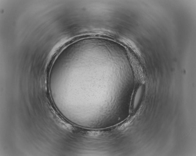 X0000088021172200705251044