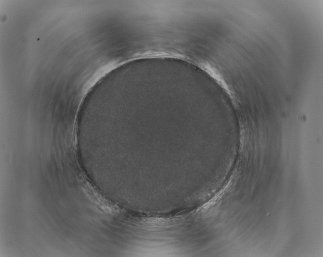 X0000088021173200705251044