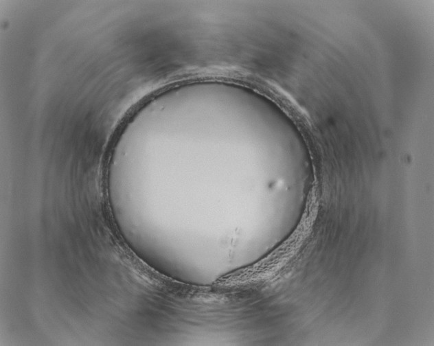 X0000088021174200705251044