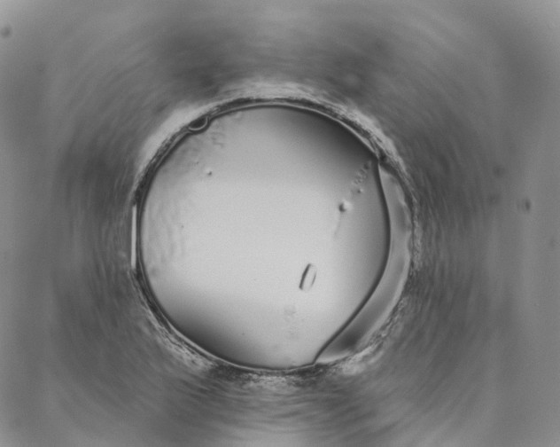 X0000088021175200705251044