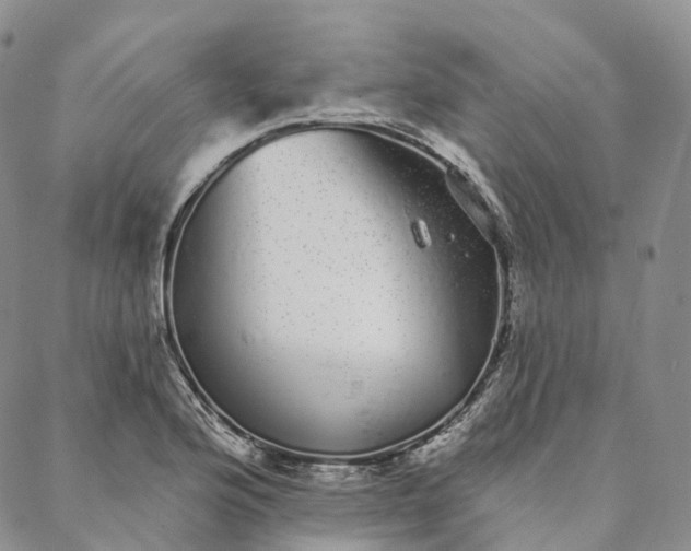 X0000088021176200705251044