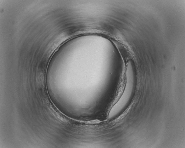 X0000088021177200705251044