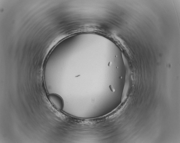 X0000088021178200705251044