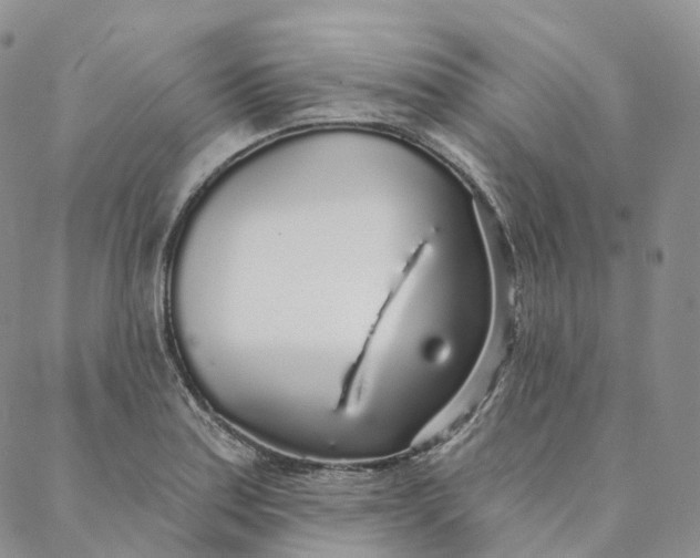 X0000088021179200705251044