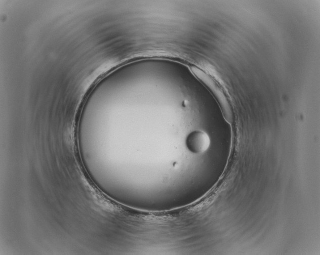 X0000088021181200705251044