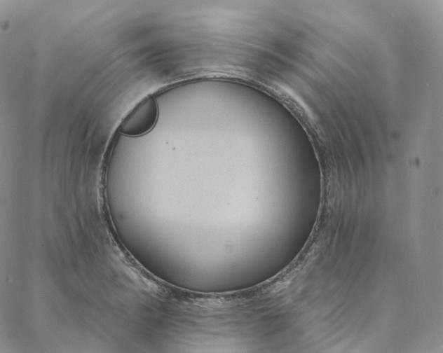 X0000088021182200705251044