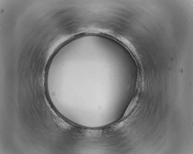 X0000088021183200705251044