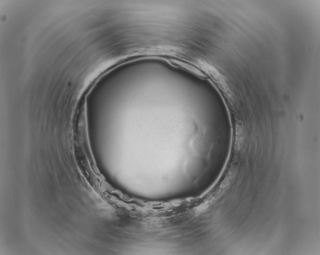 X0000088021184200705251044