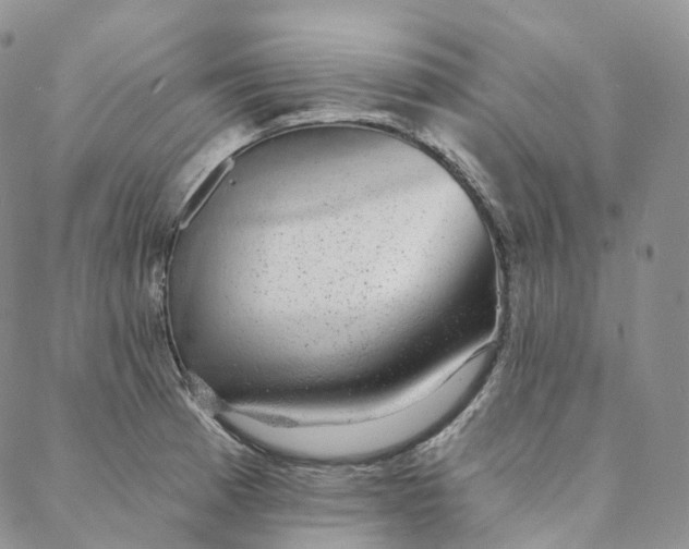 X0000088021185200705251044