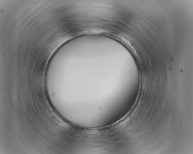 X0000088021186200705251044