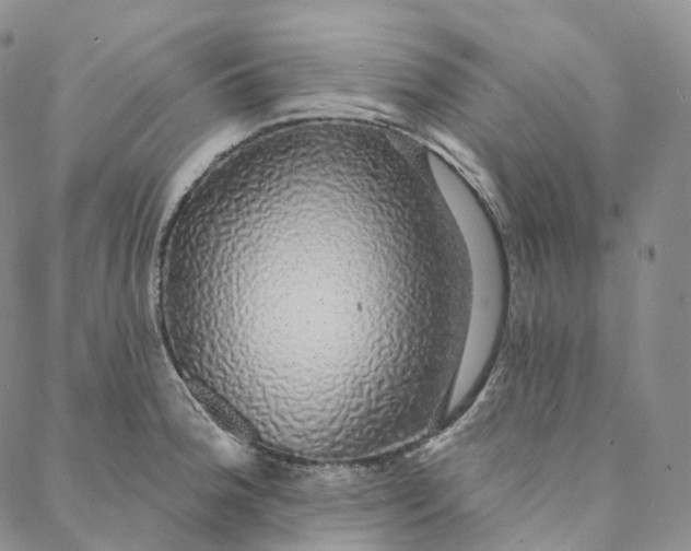 X0000088021188200705251044