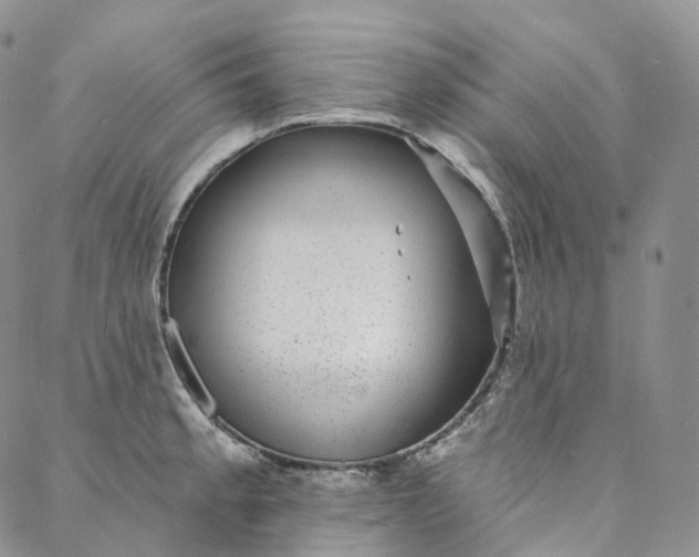 X0000088021189200705251044