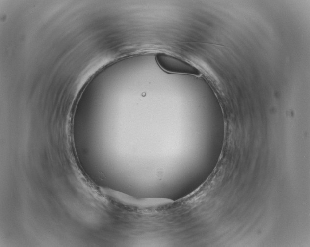 X0000088021190200705251044