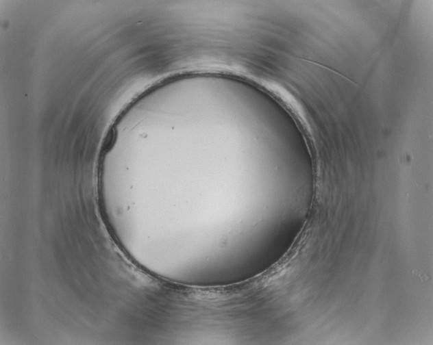 X0000088021191200705251044