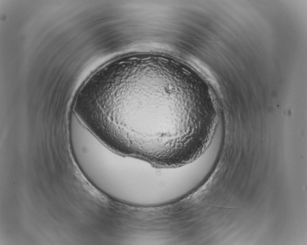 X0000088021192200705251044