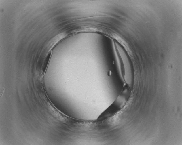 X0000088021193200705251044