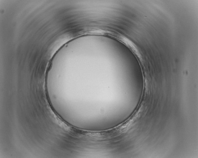 X0000088021194200705251044