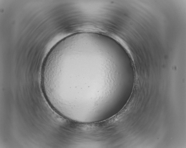 X0000088021195200705251044