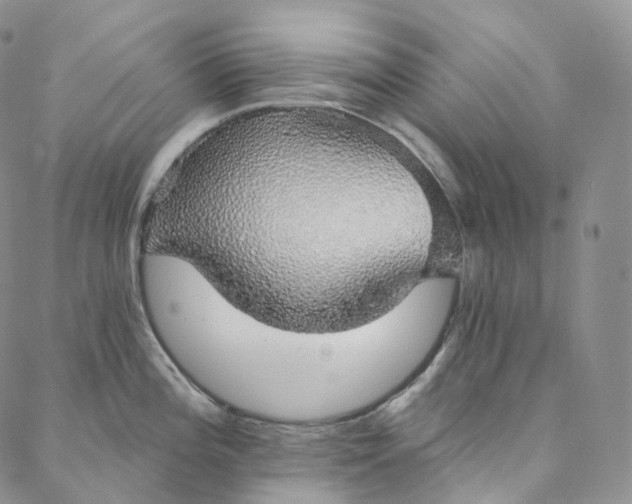 X0000088021196200705251044