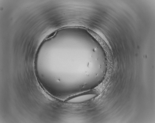 X0000088021197200705251044