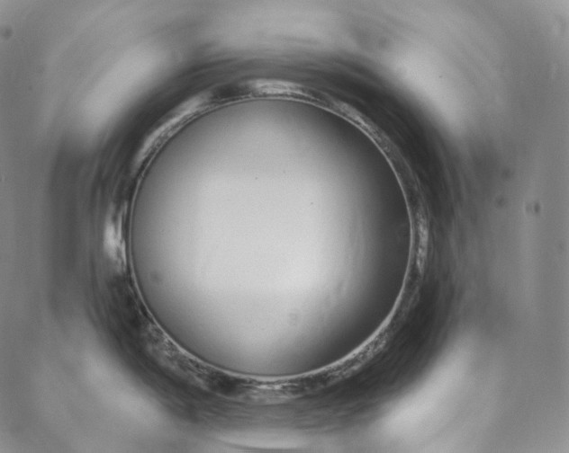 X0000088021198200705251044