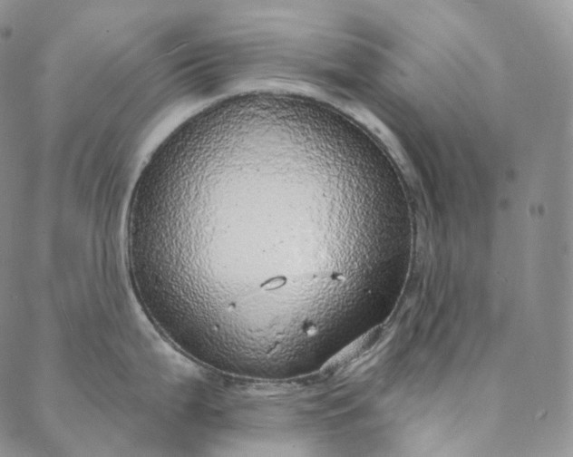 X0000088021199200705251044