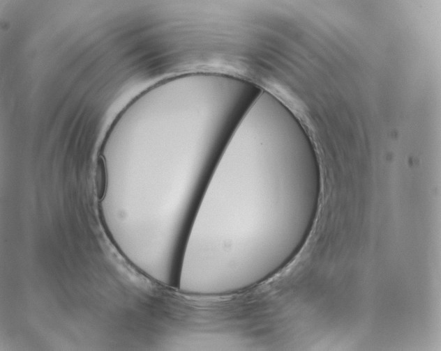 X0000088021200200705251044