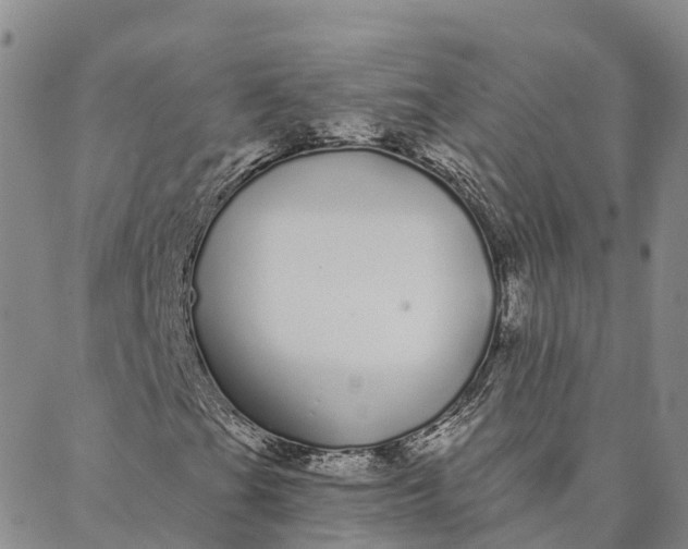 X0000088021201200705251043