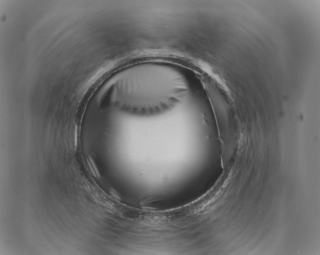 X0000088021221200705251043