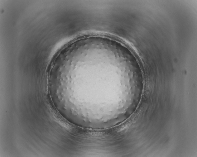 X0000088021223200705251043