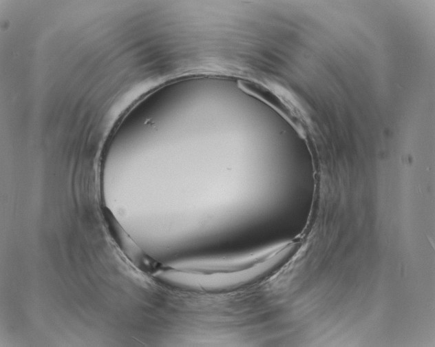 X0000088021238200705251044