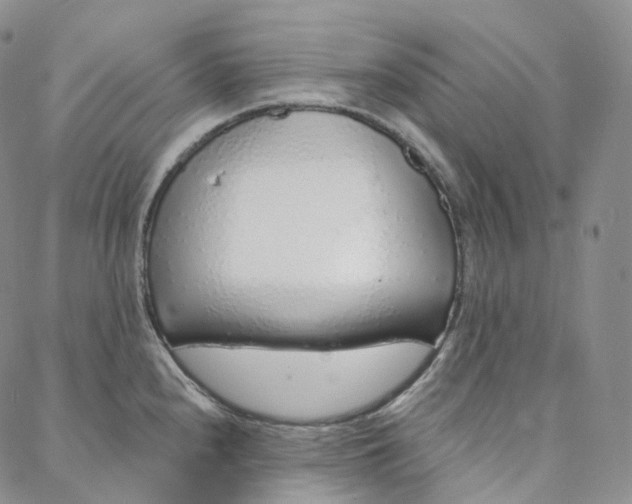 X0000088021240200705251044