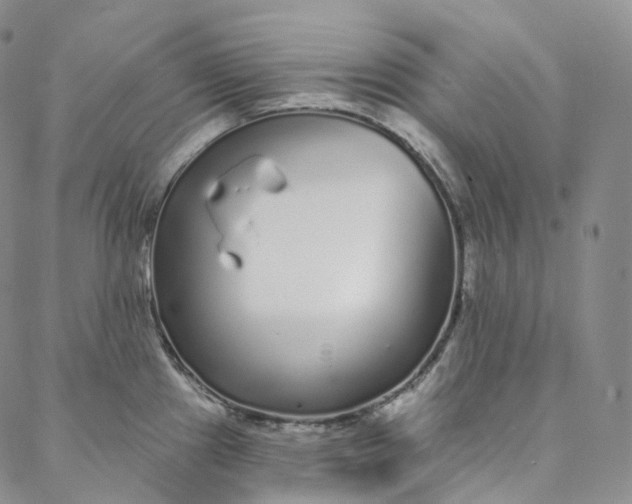 X0000088021241200705251044