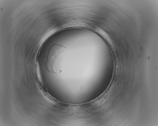 X0000088021242200705251044