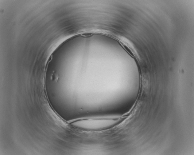 X0000088021244200705251044