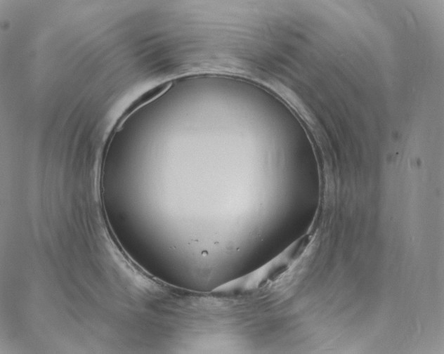 X0000088021246200705251044