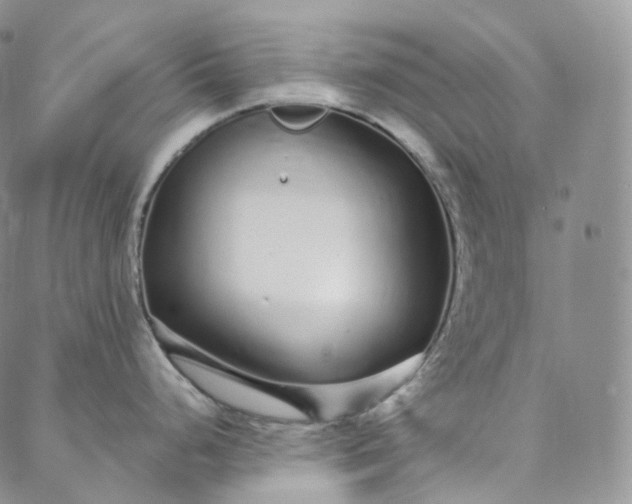 X0000088021248200705251044