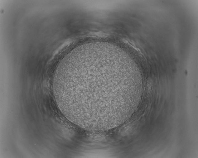 X0000088021254200705251043
