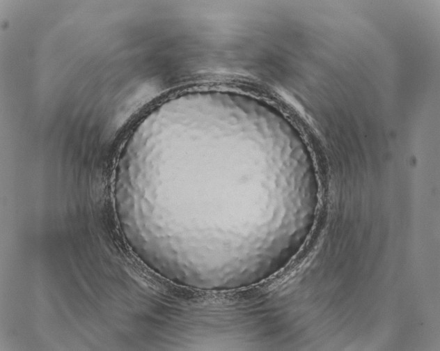 X0000088021259200705251043