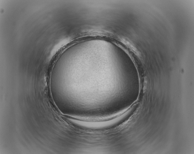 X0000088021261200705251043